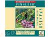 Pimsleur Spanish I, II, III, & Plus